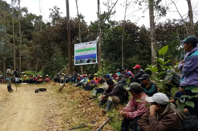 Proyecto de reforestación de la quina