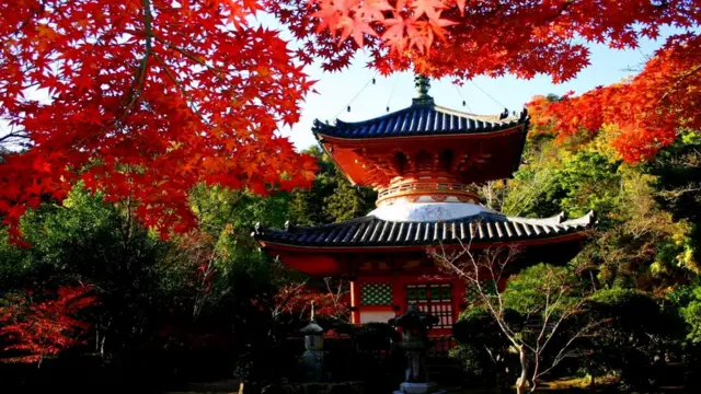 Символ духовной солидарности - пагода XVI века, в которой хранятся религиозные реликвии и статуя будды Амитабхи, самой почитаемой фигуры в популярной в Японии буддийской школе Чистой земли