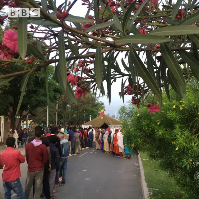 ሲዳማ ከደቡብ ከልል ጋር እንድትቆይ የሚፈልጉ ጎጆ፤ ሲዳማ ዞን ክልል እንትሆን የሚፈልጉ ደግሞ ሻፌታን ይመርጣሉ