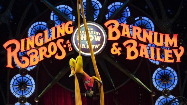 цирковое представление в Вашингтоне 19 марта 2015 года