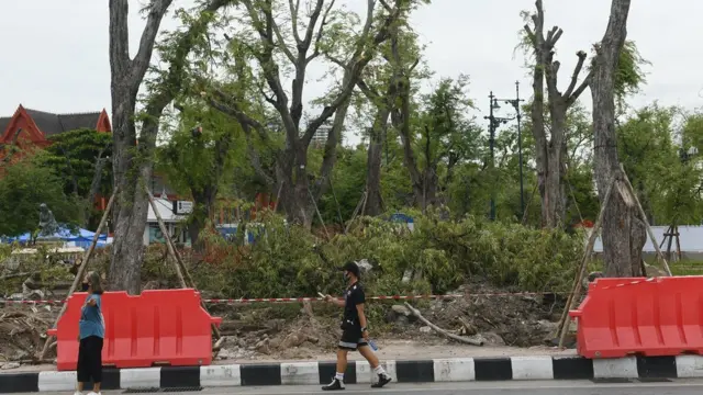 มีต้นไม้ถูกขุดรื้อไปแล้วเกือบ 50 ต้น