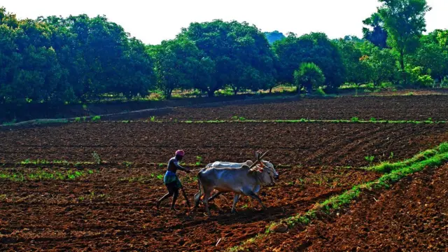 விவசாயி