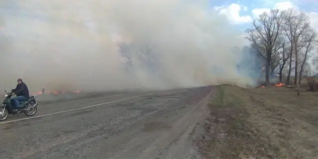 Пожежа вздовж траси у Чернігівській області