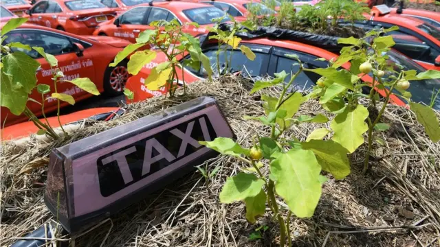 รถแท็กซี่ที่จอดไว้เป็นแรมปี จำเป็นต้องเปลี่ยนยาง 4 เส้น เปลี่ยนแบตเตอรี ทำผ้าเบรคใหม่ ถ่ายน้ำมันเครื่องและน้ำมันเกียร์ และเก็บสี ก่อนปล่อยให้สมาชิกเช่าขับ