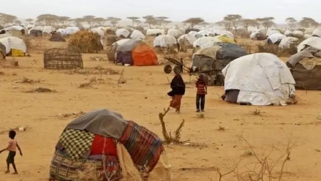 Xeryaha qaxootiga ee Kenya