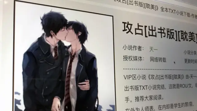 《攻占》小说截屏
