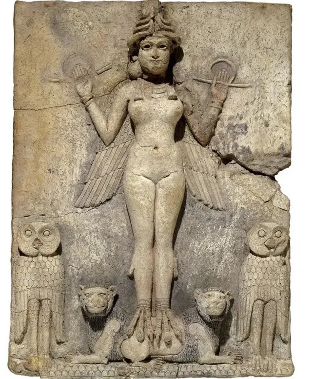 क्विन ऑफ नाईट