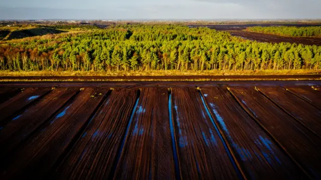 De nombreuses tourbières commerciales sont mises à la retraite en Irlande