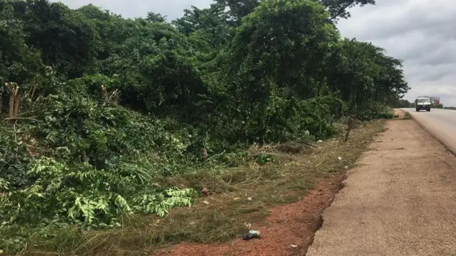 Ọhịa dị n'okporoụzọ awaraawara