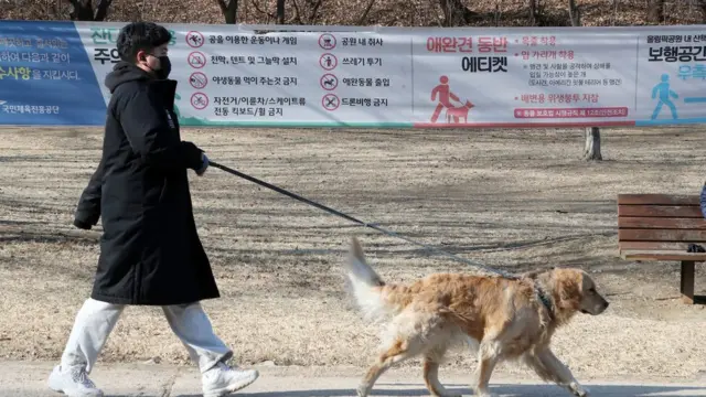 지난 2월부터 반려견과 외출시 목줄 길이는 2m 이내로 유지, 공용주택 등 내부 공용 공간에서 반려견을 직접 안아야 하는 등 안전관리 제도 위반시 최대 50만원의 과태료가 부과된다