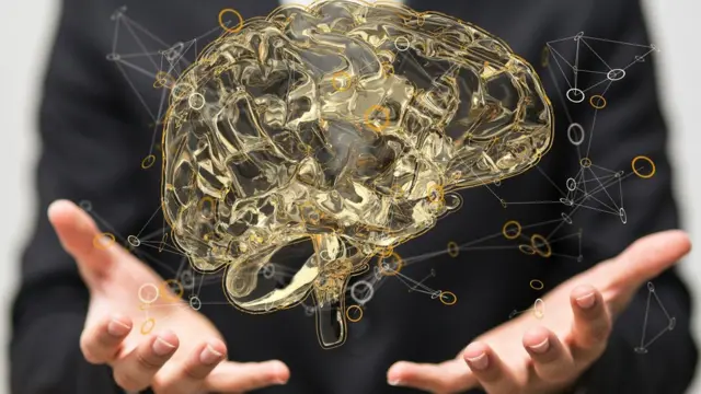 設計圖片：人類大腦