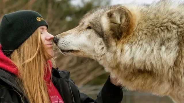 कुत्तों से दोस्ती
