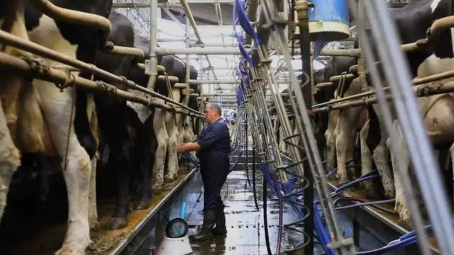 Ферма в Девоне