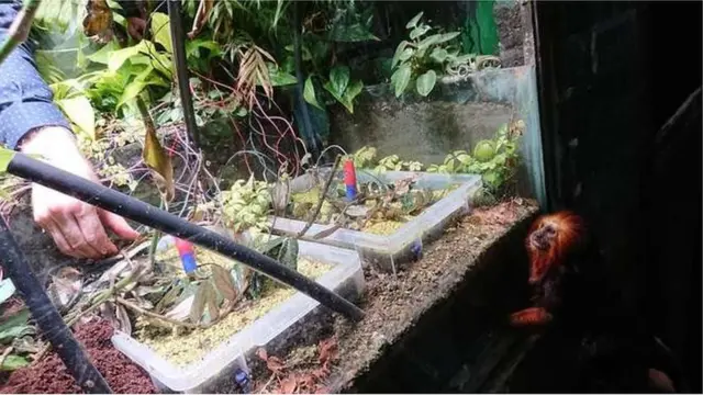 మొక్క వద్ద ఏర్పాటు చేసిన సాంకేతిక వ్యవస్థ