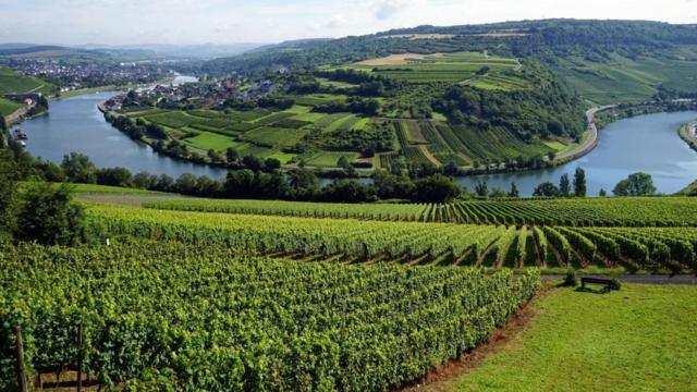 申根坐落于卢森堡的摩泽尔河谷，是卢森堡发达的葡萄酒产地。
