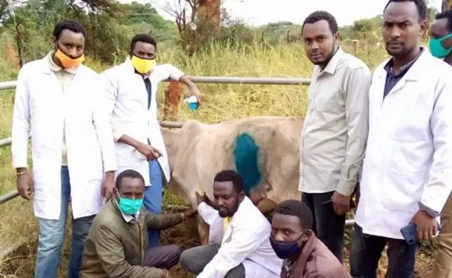 ሓካይም ምስታ ላሕሚ
