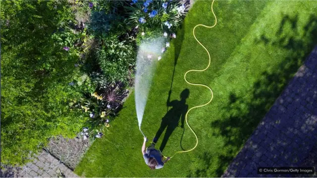 幸福可能不是一種精神狀態,而是我們從做事和習慣中獲得的東西。