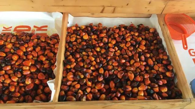 Akwụ