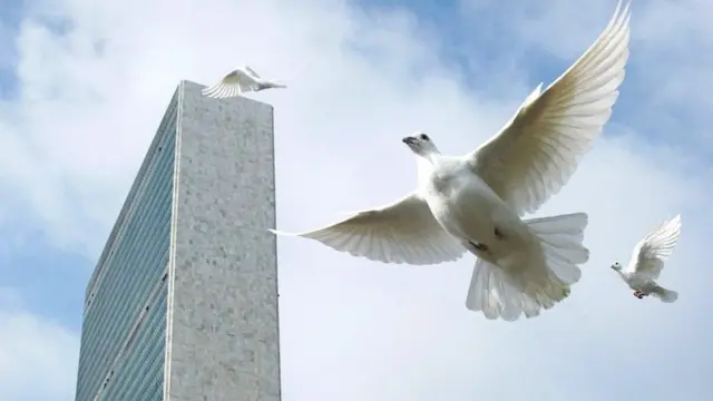 ኣርማ ሰላም ዝኾና ረጋቢት ኣብ ከባቢ ቤት ጽሕፈት ሕቡራት ሃገራት፡ ኒውዮርክ