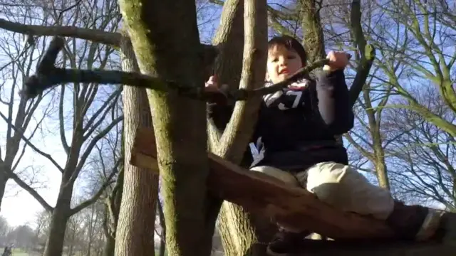 Niño jugando subido a un árbol