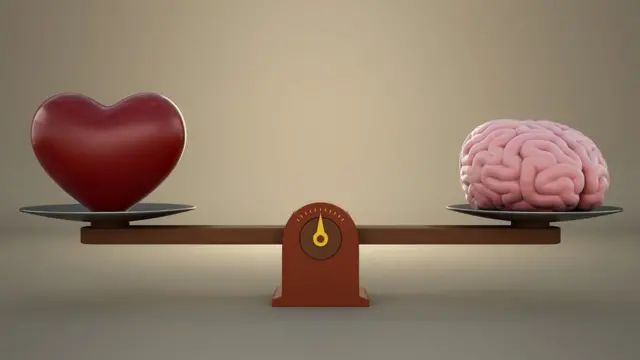 corazón y cerebro