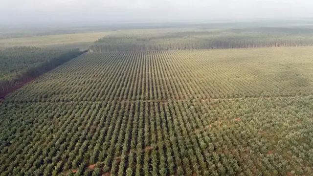 விவசாய தொழில் செய்ய ஊர் திரும்பும் ஒரு கிராமம் - நம்பிக்கை பகிர்வு