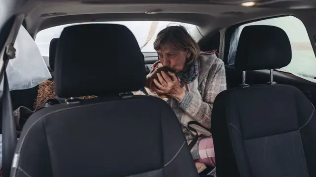 евакуйовані