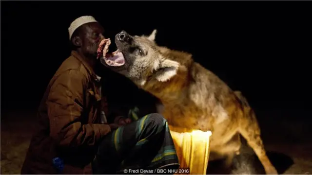 Yusse, một cư dân Harar, là người có mối quan hệ thân thiết, gần gũi với đàn linh cẩu