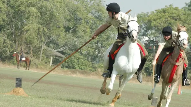 मारवाड़ी घोड़ा