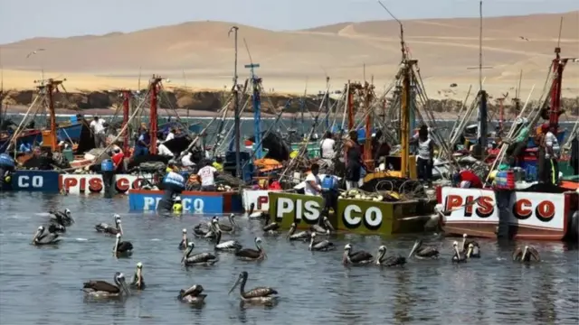 بندرگاہ