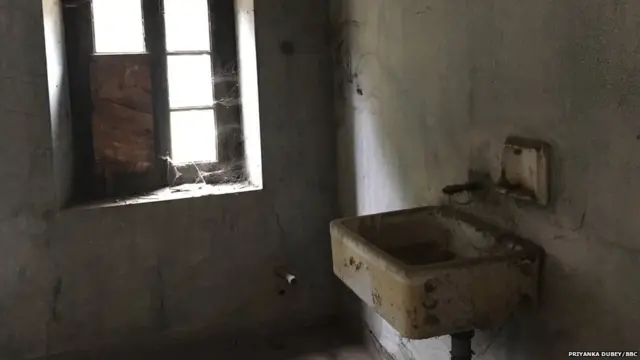 अमृता शेरगिल, विक्टर एगन, गोरखपुर, उत्तर प्रदेश, चीनी मिल, सराया, सरदारनगर