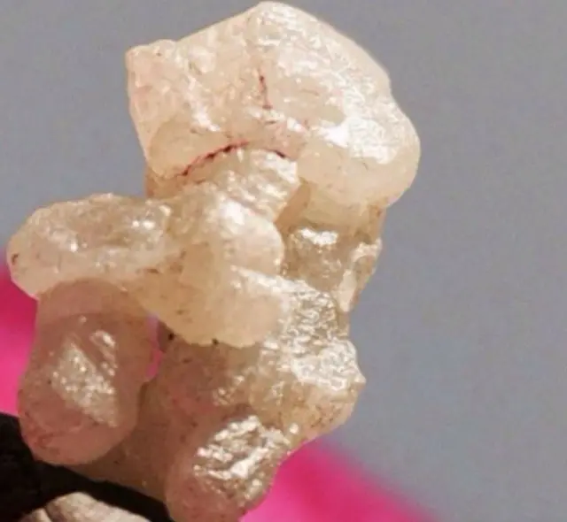 ગણપતિની તસવીર