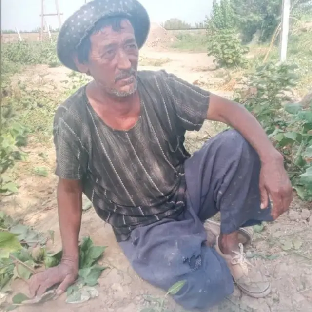 Пахта даласида