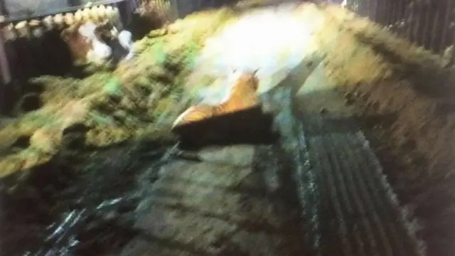 போலீசாருக்கு விவசாயி அனுப்பிய புகைப்படம்