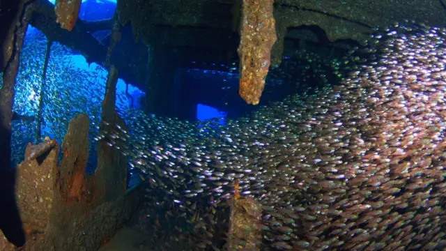 Вантажне судно Chrisoula K