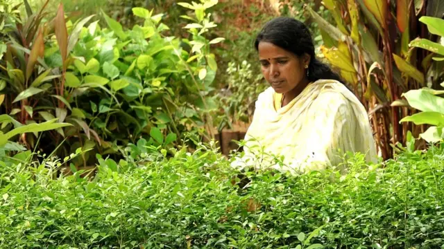 பார்வதி