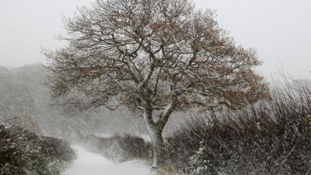 Снежный шторм в Йоркшире