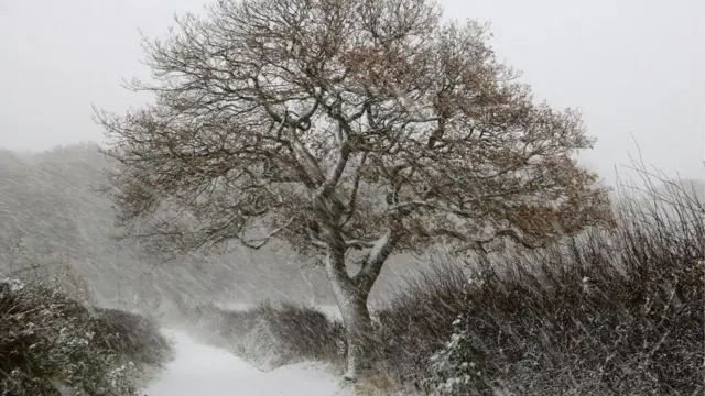 Снежный шторм в Йоркшире