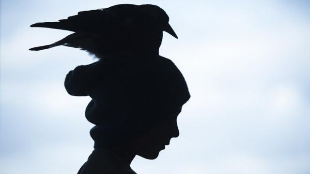 Pinguim sobre a cabeçapoker cenaum dos filhospoker cenaSam