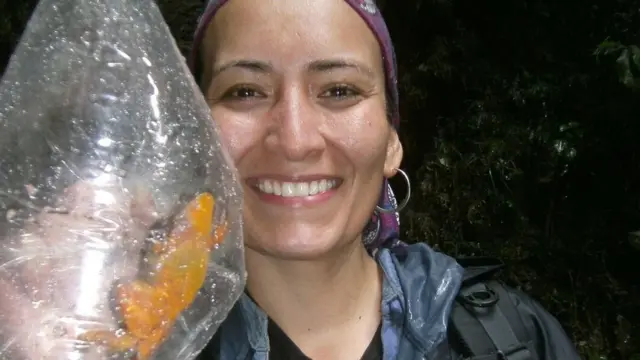 தேடுதல் வேட்டையில் சிக்கிய மேலும் சில தவளைகள்