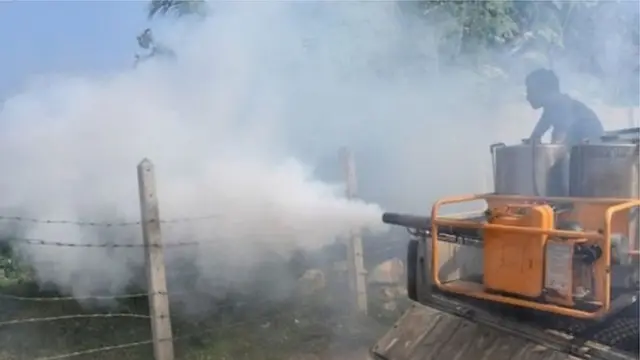 ඩෙංගු