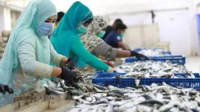 मछलियां अलग करती हुई महिलाएं