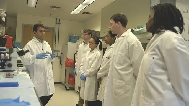 دکتر فتاح کاشانچی علاوه بر تدریس، در دانشگاه جورج میسون تحقیقاتی برای درمان ایدز و سرطان انجام می‌دهد