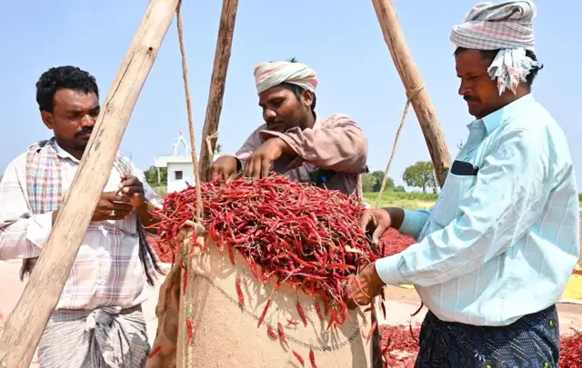 మిర్చి రైతులు