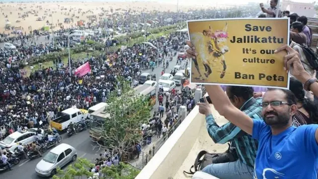 மெரினாவில் நடைபெற்ற ஜல்லிக்கட்டு ஆதரவு போராட்டம்