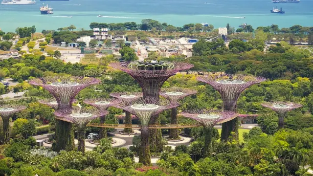 การ์เดนส์ บาย เดอะ เบย์ (Gardens by the Bay) สถานที่ท่องเที่ยวอันโด่งดังของสิงคโปร์ รังสรรค์ขึ้นด้วยการผสมผสานพืชพรรณเขตร้อนเข้ากับ "ซูเปอร์ทรี" อันเป็นสัญลักษณ์ ซึ่งเป็นโครงสร้างเทียมที่ให้สวนแนวตั้งและให้ร่มเงา