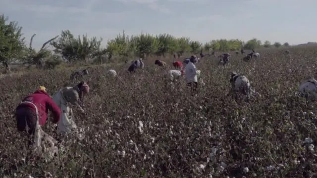 Ер кодексига кўра, деҳқон қишлоқ хўжалиги ерларидан фойдаланиш учун туман ҳокими билан 30 йил муддатга (қонуннинг аввалги таҳририга кўра 49 йил эди) узоқ муддатли ижара шартномасини тузиши мумкин.
