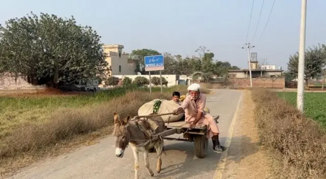 ਮੋਰੀਕਾ ਜੱਜਾ