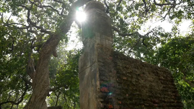 ایودھیا کے مسلمان