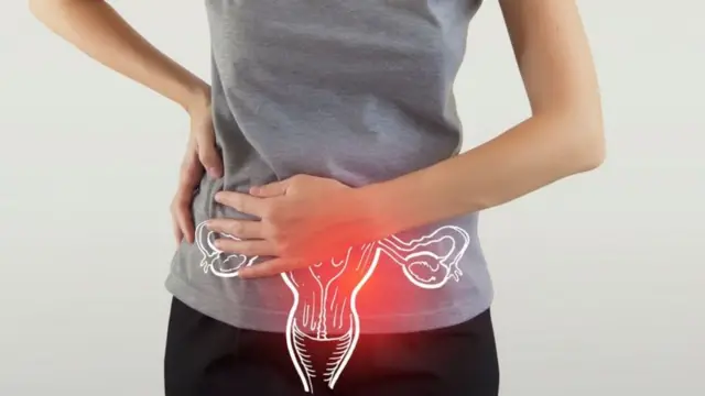 ગર્ભાશય